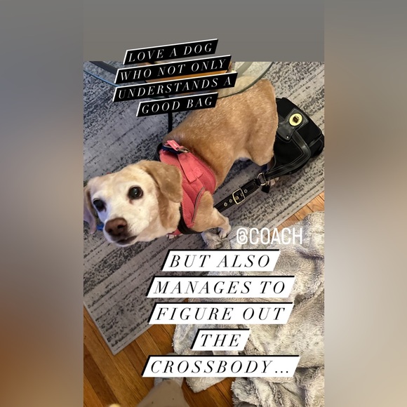 Did you know, I share more info on my listings. Go follow the link in bio. - Picture 3 of 3